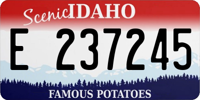 ID license plate E237245