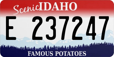 ID license plate E237247