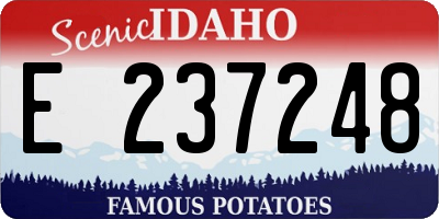 ID license plate E237248
