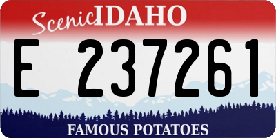 ID license plate E237261