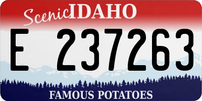ID license plate E237263