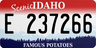 ID license plate E237266