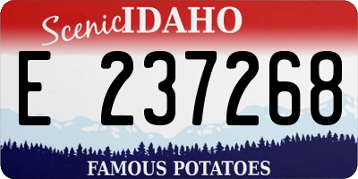 ID license plate E237268