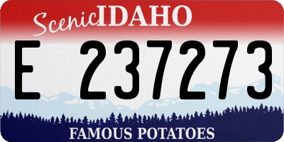 ID license plate E237273