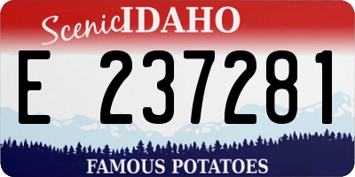 ID license plate E237281