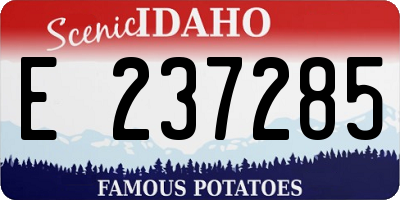 ID license plate E237285
