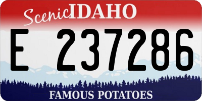 ID license plate E237286