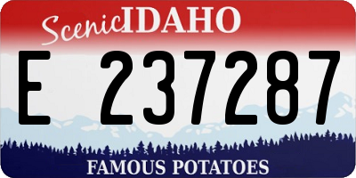 ID license plate E237287