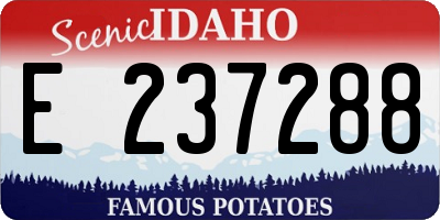 ID license plate E237288
