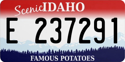 ID license plate E237291