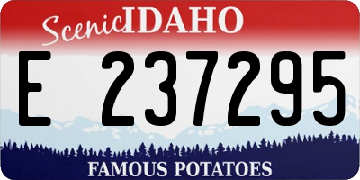 ID license plate E237295
