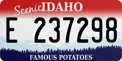 ID license plate E237298