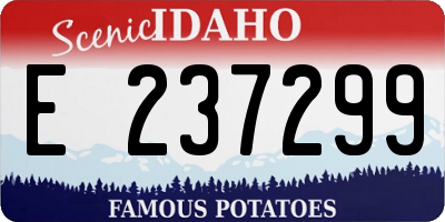 ID license plate E237299