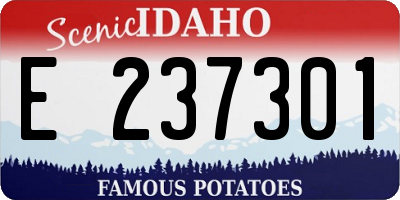 ID license plate E237301