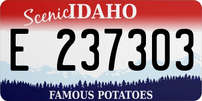 ID license plate E237303
