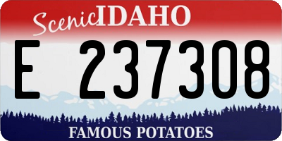 ID license plate E237308