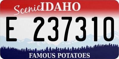 ID license plate E237310