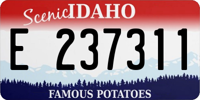 ID license plate E237311