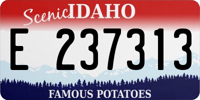 ID license plate E237313