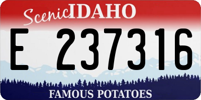 ID license plate E237316