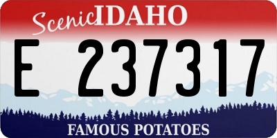 ID license plate E237317