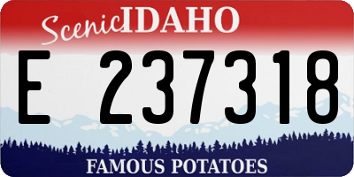 ID license plate E237318