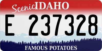 ID license plate E237328
