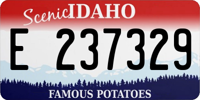 ID license plate E237329