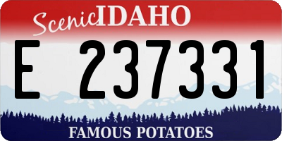 ID license plate E237331