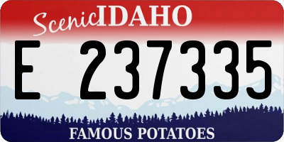 ID license plate E237335