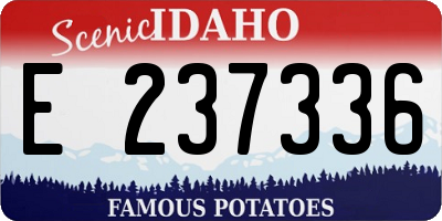 ID license plate E237336