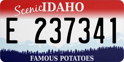 ID license plate E237341
