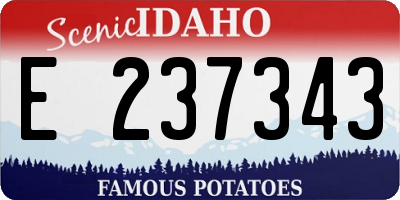 ID license plate E237343