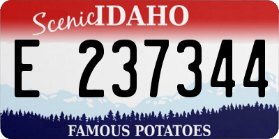 ID license plate E237344