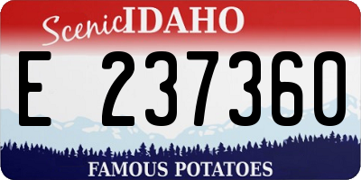 ID license plate E237360