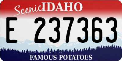 ID license plate E237363