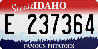 ID license plate E237364