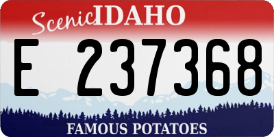 ID license plate E237368