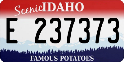 ID license plate E237373