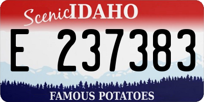 ID license plate E237383