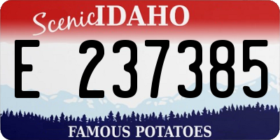 ID license plate E237385