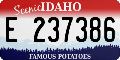 ID license plate E237386