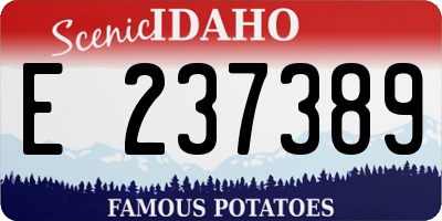 ID license plate E237389