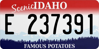 ID license plate E237391