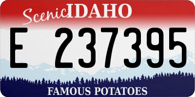 ID license plate E237395