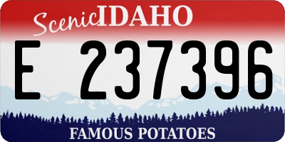 ID license plate E237396