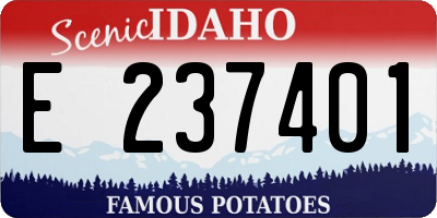 ID license plate E237401