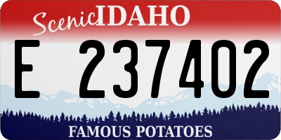 ID license plate E237402