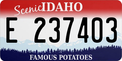 ID license plate E237403