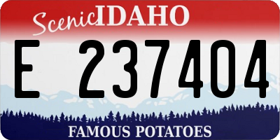 ID license plate E237404